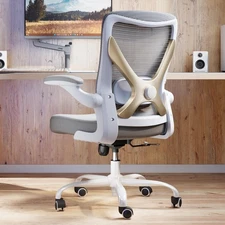 Ergonomic Office Chair with Lumbar Support - Adjustable Computer Desk Chairs ...