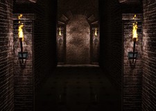 Gothic Castle Backdrop 7x5 ft Ancient Black Brick Wall Dungeon Photo Prop