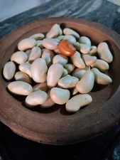 100% Organic Seeds Ceylon Sun Dried Jack Fruit Seeds Rare Honey Jack Fruit Seeds