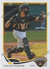 2016 Bradenton Marauders Taylor Gushue RC Rookie Pittsburgh Pirates