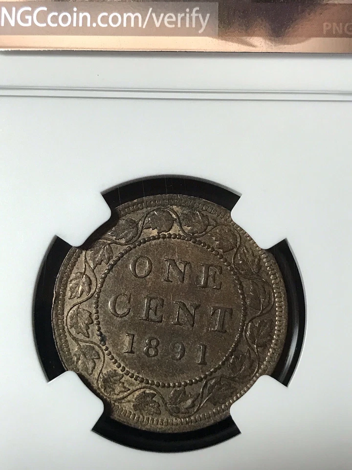 1891 CANADIAN LARGE CENT, LARGE LEAVES, SMALL DATE NGC MS 62 BN SCARCE THIS NICE - Image 4 of 4