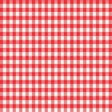 Magic Cover Red/White Checkered Vinyl Disposable Tablecloth 54 in.   54 in.