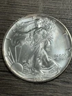 1993 American Silver Eagle Toning Around Edges