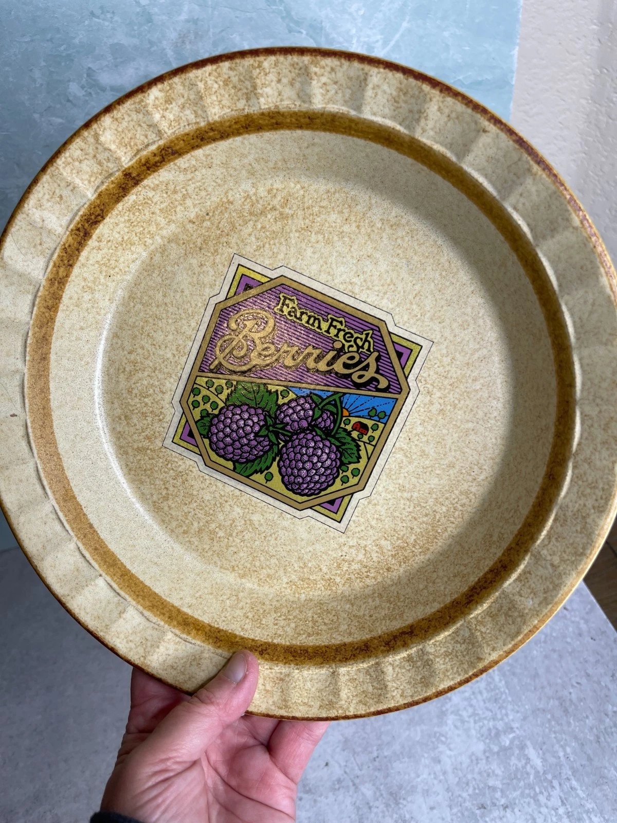 Vintage Treasure craft pottery berry pie pan Dish 10” baking