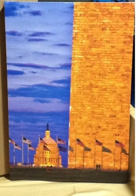 America By CATeyes 22'' X 32'' Canvas Wall Art Print