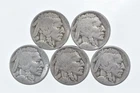BETTER Lot 1925-S 1925-D 1928-S 1920 1928-S Buffalo Nickel Collection *174