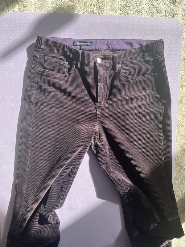 Brooks brothers Women’s Purple Corduroy Pants Size 8 (REDUCED)