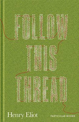 Follow This Thread: A Maze Book to Get Lost In By Henry Eliot