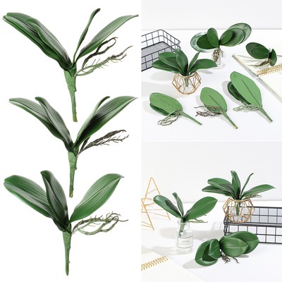 Pflanzen Kunststoff Gras Ergebnisse der Simulation Phalaenopsis Blatt