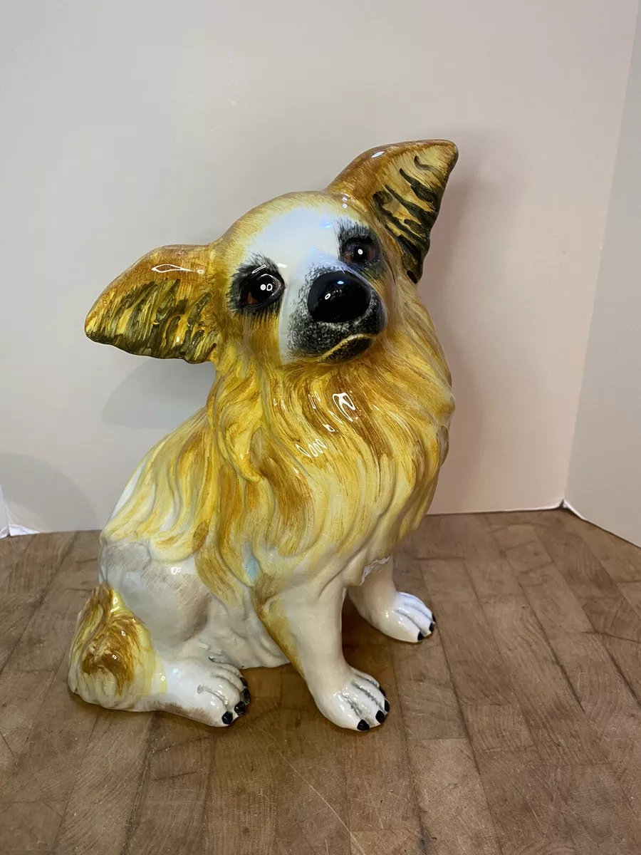 Clau papillon cheap puppies