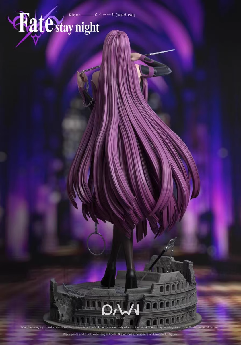 RWN Studio Fate/Stay Night Rider Medusa 1/6 Resin Model Statue In