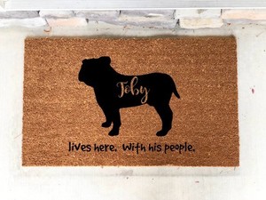dog entry mat