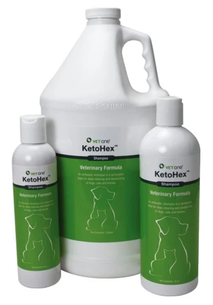 Vet one 2025 ketohex shampoo