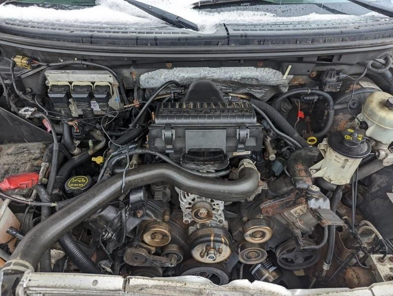 Seat Belt Front Bench 40/20/40 Driver Fits 04-08 FORD F150 PICKUP 166726 - Imagem 4 de 4