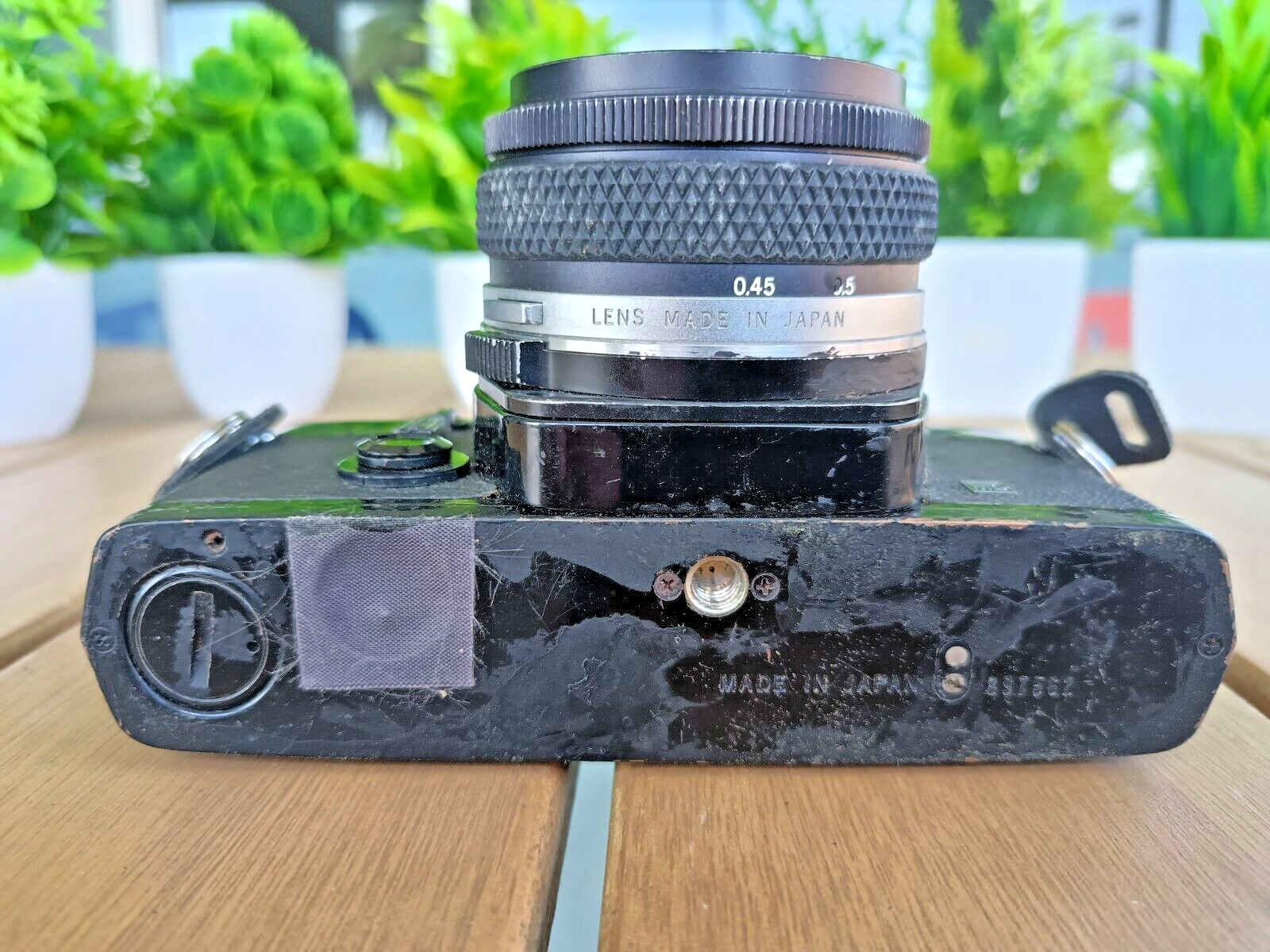 Foto 7 di 17