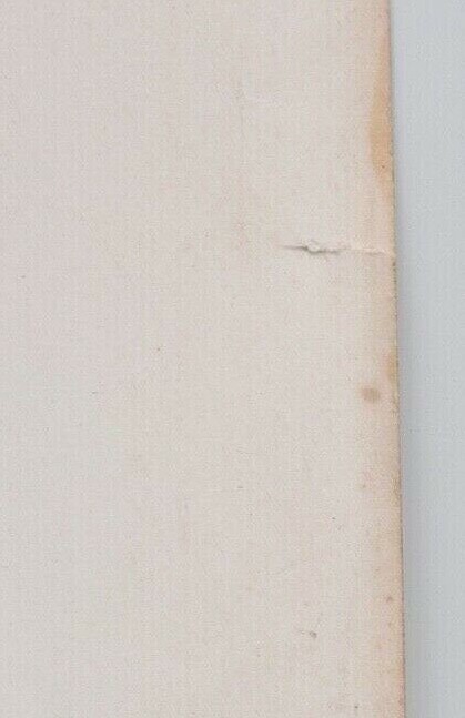Bild 7 von 8