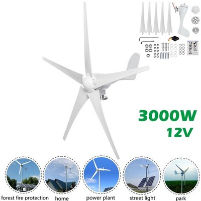 3000W DC 12V Windgenerator Windenergie Windrad Wind Turbine Generator Power Mit
