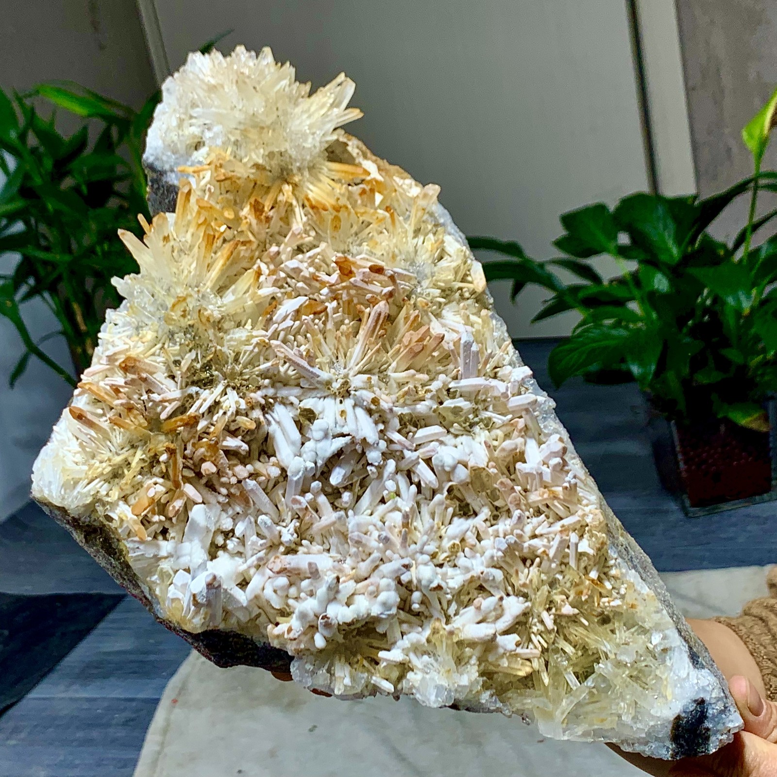 10.47LB Natural transparent chrysanthemum crystal cluster crystal specimen