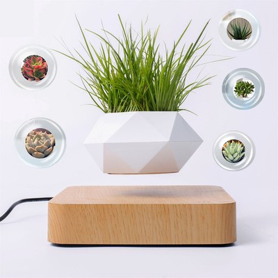 Levitating Air Bonsai Pot Magnetic Floating Planter for Succulents Air Plant