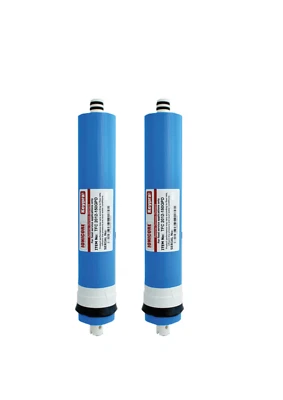 2 Pezzi Membrana 150g Osmosi Inversa 150 GPD Comp. Vessel 2012 - 656 LT giorno - Immagine 1 di 3