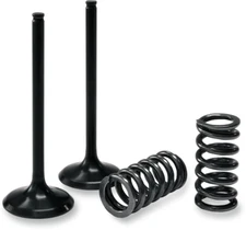 Prox Valve And Spring Kit 28Sis24442