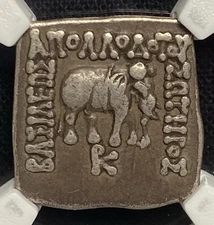 Bactria Indo-Greeks 180-160 BC Silver ELEPHANT India AR Drachm Apollodotus I NGC