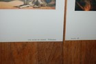 Bild 11 von 15