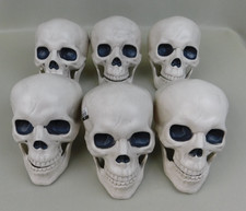 Lot 6 Skull Props Halloween Decorative 6" Movable Jaw Hyde and EEK Boutique
