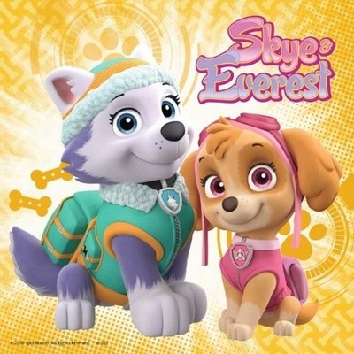 Ravensburger Paw Patrol Sky & Everest 3x49 Stück Puzzle für Kinder