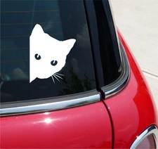 PEEKING CAT PEEK A BOO FELINE PET KITTEN DECAL STICKER FUNNY CAR TRUCK