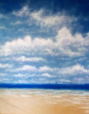 10 20 Ft Muslin 100 Airbrush Painted Photo Beach Backdrop Background 51-001