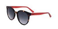 Pepe Jeans PJ7400 Gloss Classic Tort 52/19/145 Damen Sonnenbrillen