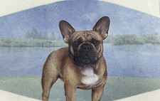 French Bulldog Lover's Face Mask Double Stitch Triple Filter High Quality