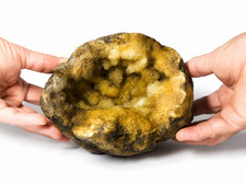 5 lb 3 oz Open KY Geode Golden Crystal Cavity Large Display Specimen Collectible