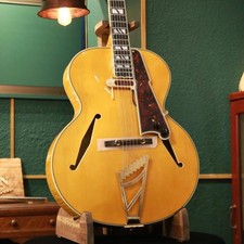 Strap ampaign D Angelico Electric Guitar Full Acoustic Hollow Body Excel Style