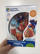 Learning Resources Human Anatomy Model LER 33...