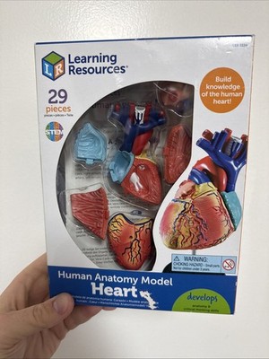 Learning Resources Human Anatomy Model LER 3334 The Heart 29 Piece Model NEW