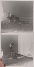 Vintage 1950?s Nude Woman Pinup 2 Connected Negatives 2?x 2.5?