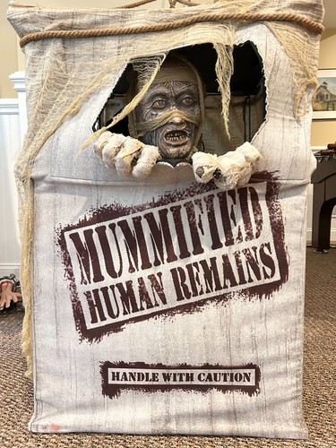 2010 Spirit Halloween Crated Mummy Funny Prop - Watch, READ!