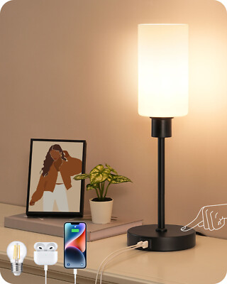 EDISHINE 19'' Touch Control Glass Table Lamp Dimmable USB A+C Black Bedside