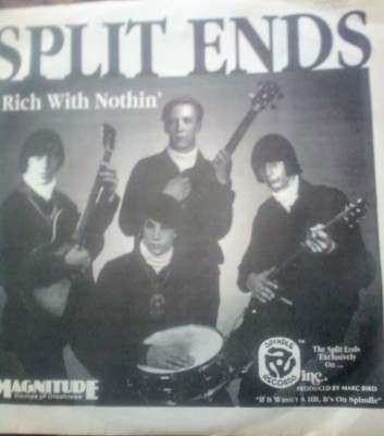 RARE KILLER 1966 PRIVATE GARAGE ''SPLIT ENDS'' RICH WITH NOTHING /ENDLESS PIC 45