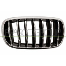 1x K�hlergitter PRASCO BM8262013 passend f�r BMW