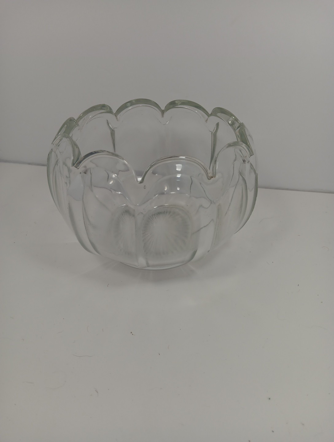 Scalloped Glass Bowl Dish Planter for Plants and Decor