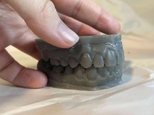 Teeth Impressions Halloween Decor Resin Real Casts of Teeth Variations