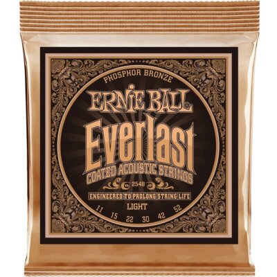 Ernie Ball 2548 Everlast beschichtete Phosphorbronze Akustiksaiten 11-52