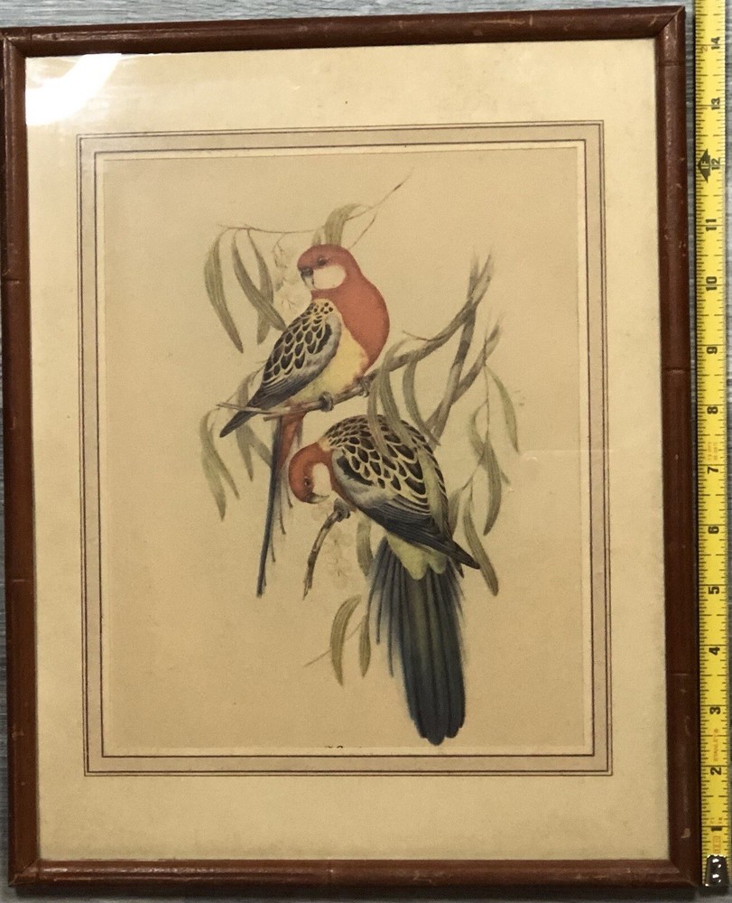 Collectible Artwork Lithograph Print art collection collectibles artwork drawing Collectible Artwork Lithograph Print art collection collectibles artwork drawing
