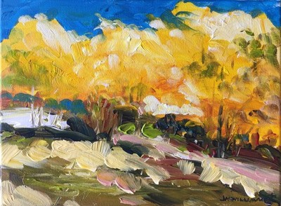 Maples Changing