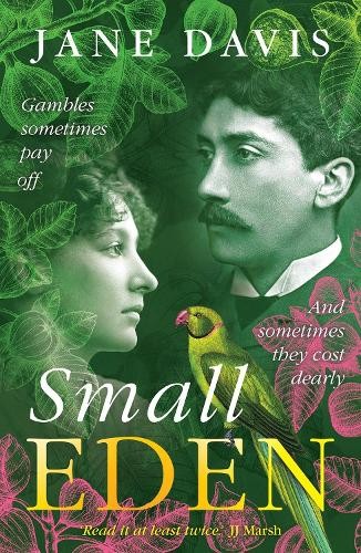 Small Eden: Gambles sometimes pay off. And sometimes by Jane Davis PAPERBACK - Image 6