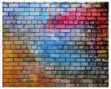 7x5 FT Colorful Brick Wall Photo Backdrop Retro Stone Microfiber Decor YY24