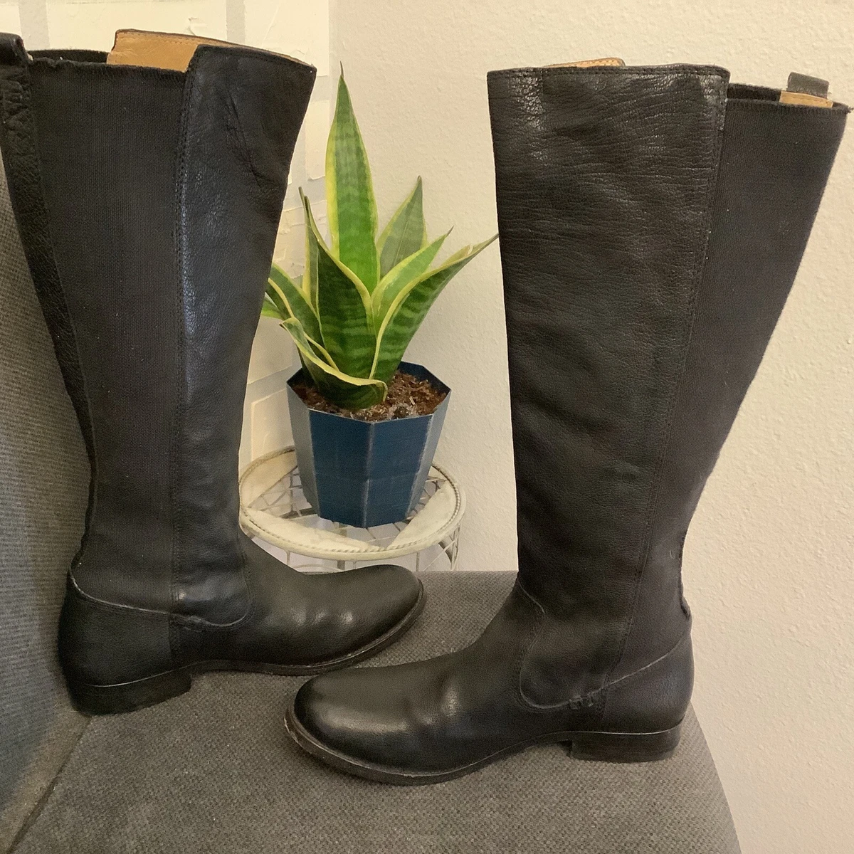 FRYE Molly Tall Black Leather Stretch Knee High Riding Boots